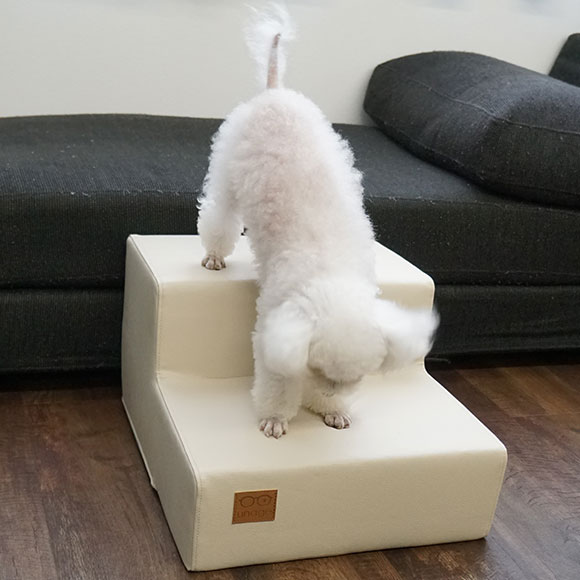 IDOG&ICAT】 iDog Living アイステップミニレザータイプ Pets-first