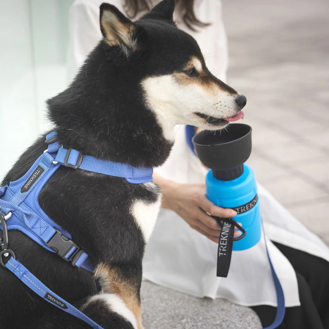 IDOG&ICAT】 折りたたみ式給水ボトル トレックナイン Pets-first