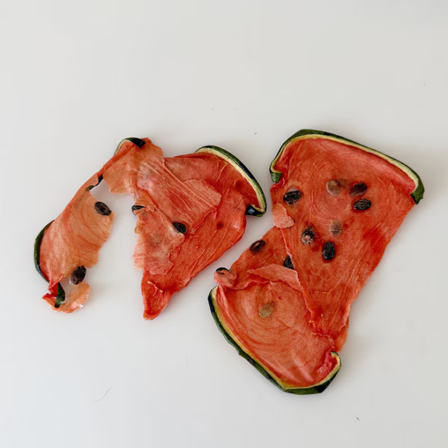 【キッチンドッグ】ドライフルーツ　スイカ