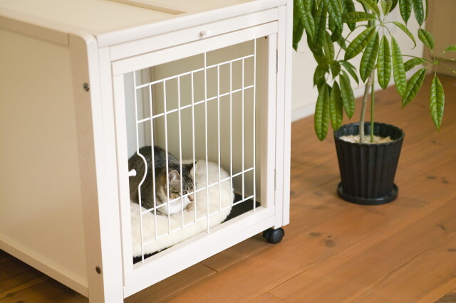 キーヌス ペットケージ AS60【小型犬・猫用 幅60cm】 Pets-first