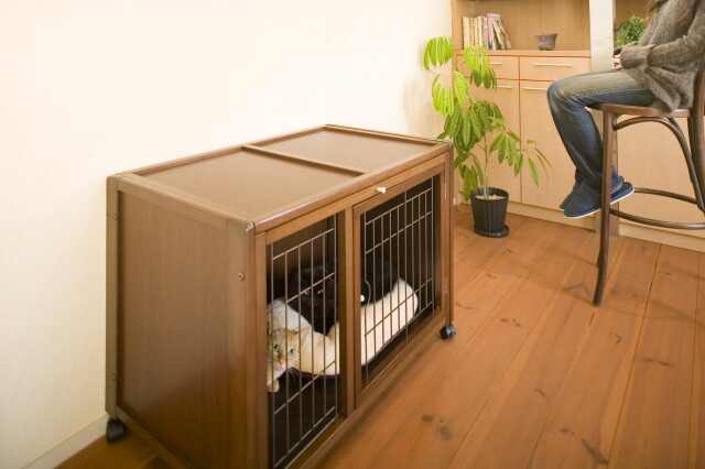 【ユズるん】キーヌス ペットケージ AS88中小型犬用　ブラウン　犬 ユズるん様専用】キーヌス ペットケージ AS88中小型犬用