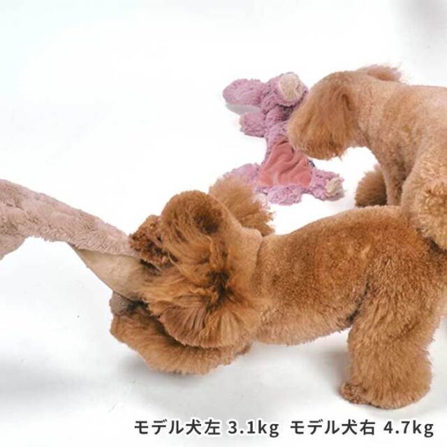 LIFELIKE（ライフライク） クタクタアニマルトイ Pets-first ONLINESTORE