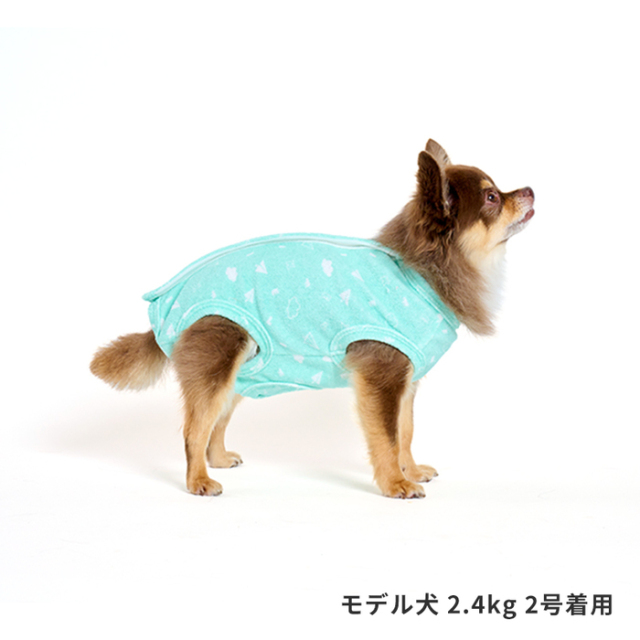 エリザベスウェア