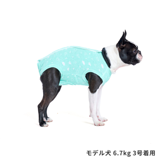 エリザベスウェア　術後服　N2L 術後服エリザベスウエア(男の子-ダックス用) – anifull