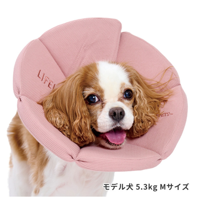 エリザベス様 リクエスト品 Amazon | PET FiND エリザベスカラー エリカラ 犬 ネコ 用