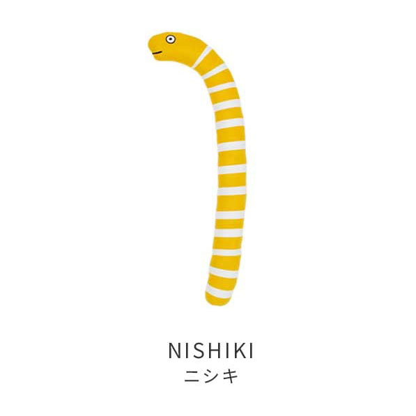 ロングトイチンアナゴ