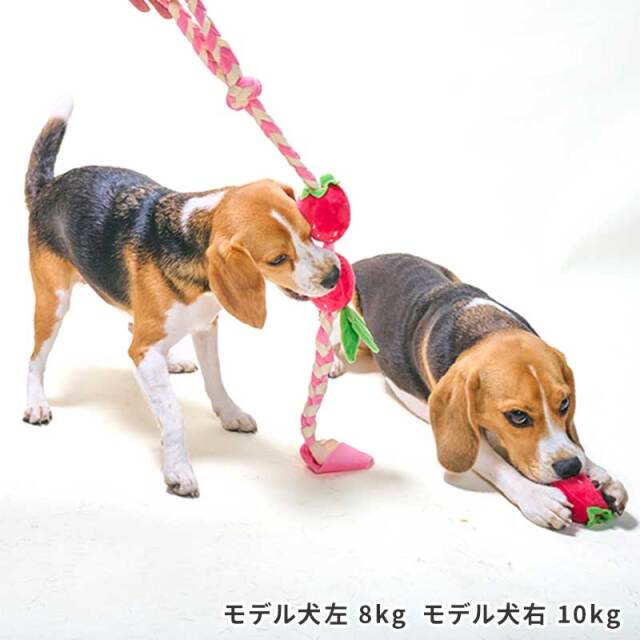 もぎたてフルーツロープトイ