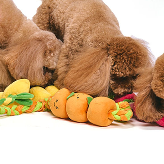 もぎたてフルーツロープトイ