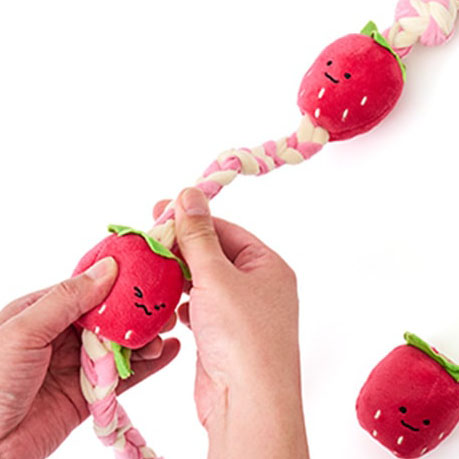 もぎたてフルーツロープトイ