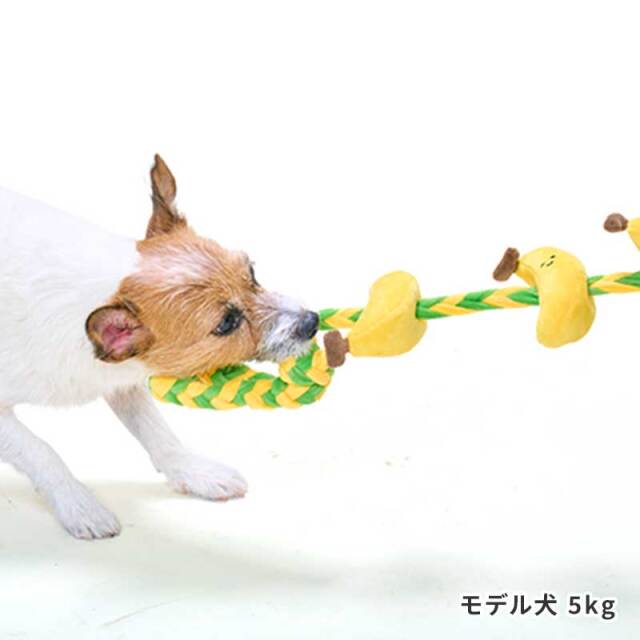 もぎたてフルーツロープトイ