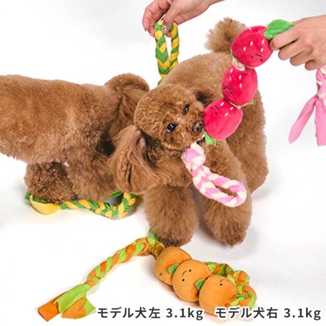 もぎたてフルーツロープトイ