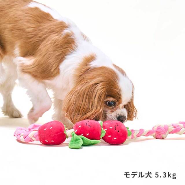 もぎたてフルーツロープトイ