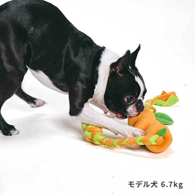 もぎたてフルーツロープトイ