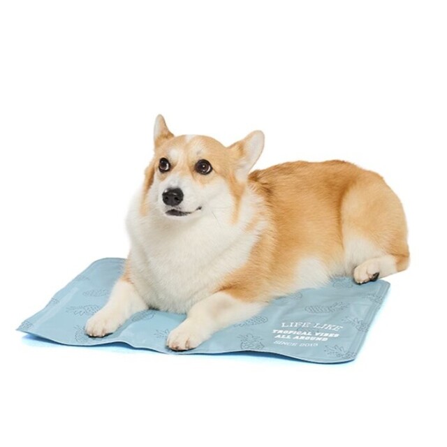 LIFELIKE（ライフライク）　サマーステッチプリントソルトジェルマット