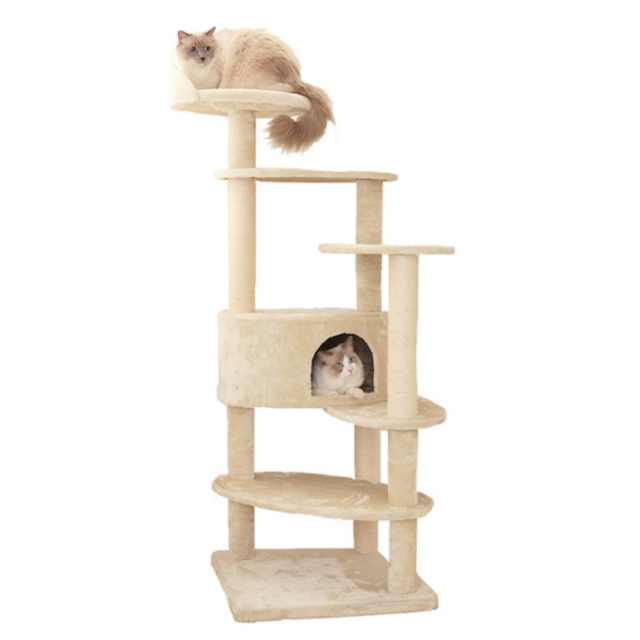 B-blast】キャットホイール Pets-first ONLINESTORE