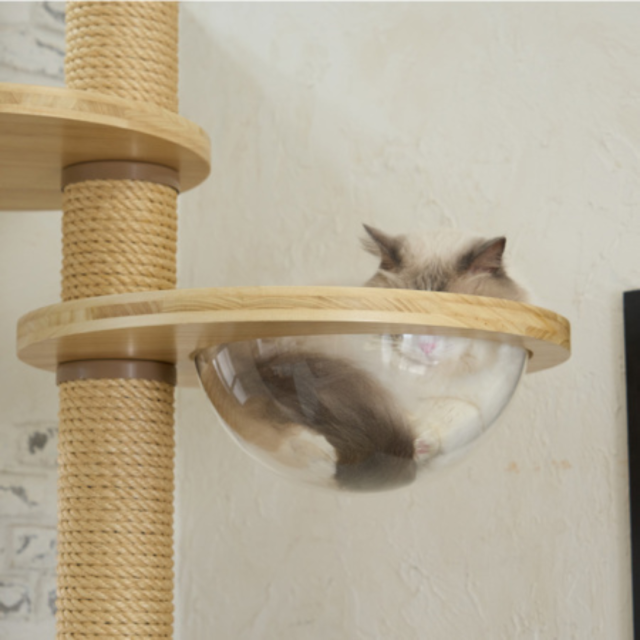 Mau