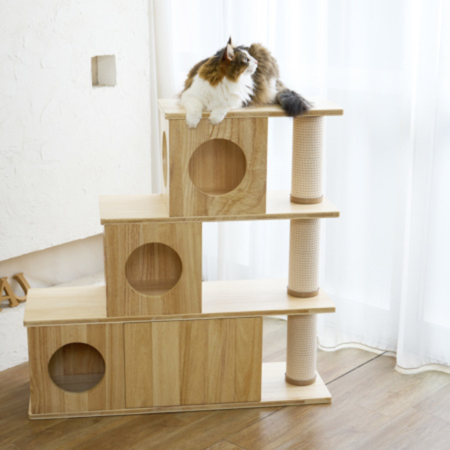 Mau