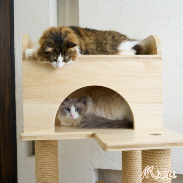 Mauタワー 国産桐シリーズ】桐シニアエスカリエ Pets-first ONLINESTORE