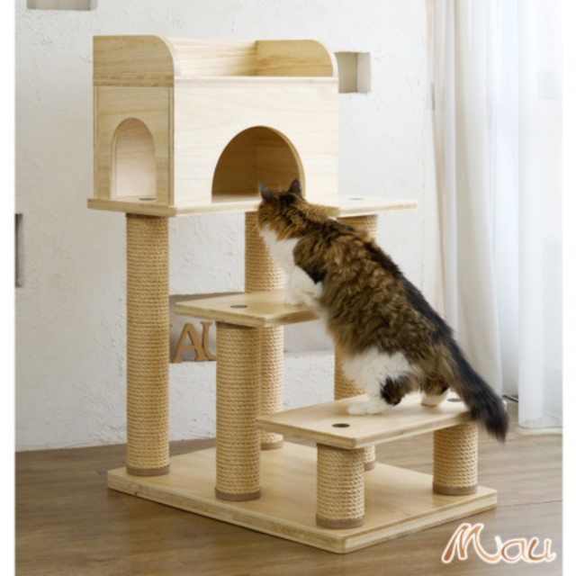 Mau
