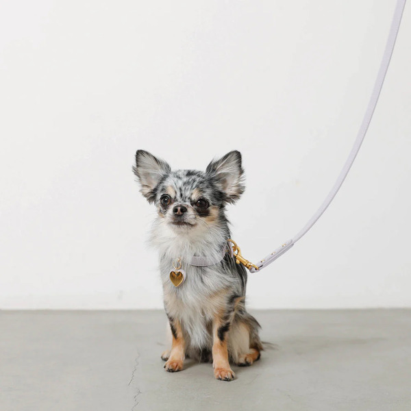 moncheri レザーリード（6色） Pets-first ONLINESTORE