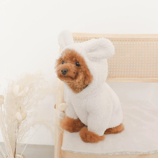 新品未使用品　moncheri ラビットフーディパーカー うさ耳　アイボリー　M moncheri うさぎ耳ふわもこパーカーIVORY Pets-first ONLINESTORE