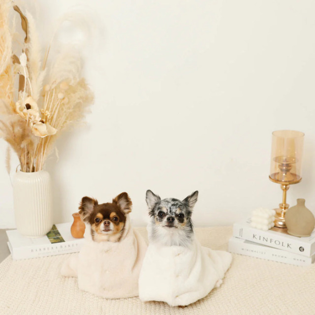 【関税・送料無料】Cider★クマ耳 フード ブランケット moncheri くま耳フードブランケット Pets-first ONLINESTORE