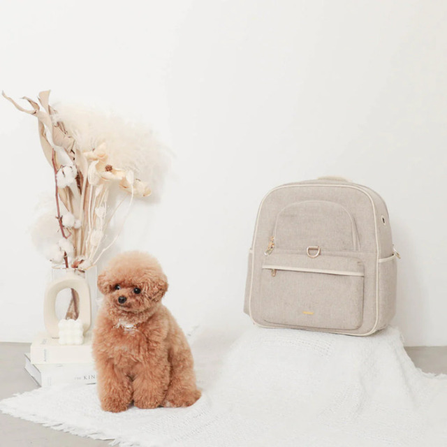moncheri パイピングリュックキャリー Pets-first ONLINESTORE