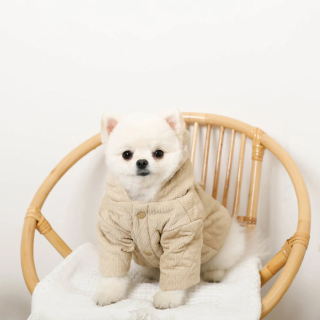 moncheri くまさんコーデュロイキルティングフーディジャケット Pets