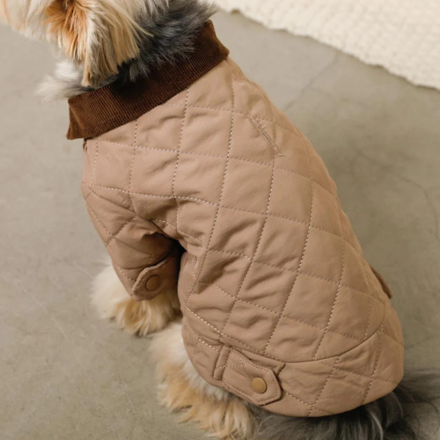 moncheri コーデュロイカラーキルティングジャケット Pets-first