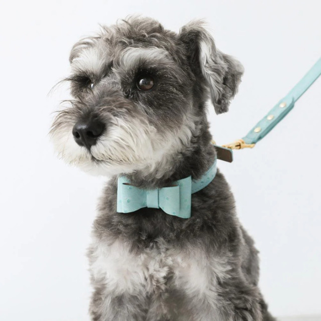 moncheri オーストレザーリボンカラー Pets-first ONLINESTORE