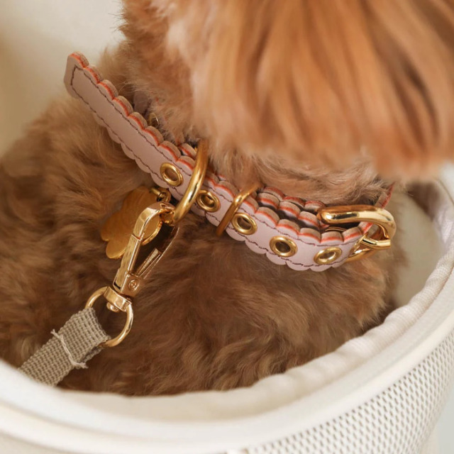 moncheri 軽量メッシュ巾着リュック Pets-first ONLINESTORE