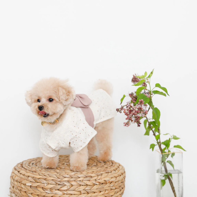 冷感カットワークフラワー浴衣