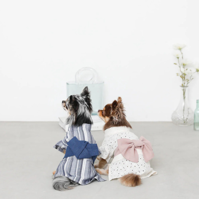moncheri 冷感カットワークフラワー浴衣 Pets-first ONLINESTORE