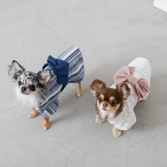 moncheri 冷感カットワークフラワー浴衣 Pets-first ONLINESTORE