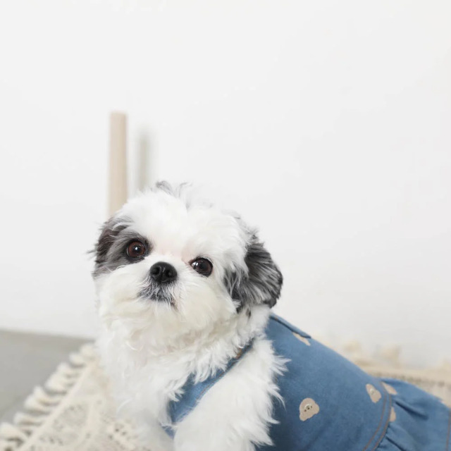 デニム 花柄刺繍 ワンピース 犬服 楽天市場】花刺繍 デニムワンピース ドッグウェア 冬 あんず