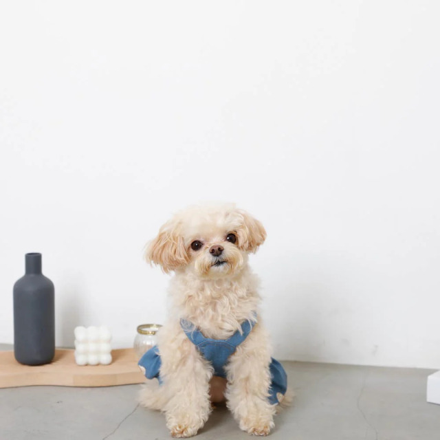 moncheri くまさん刺繍デニムワンピース Pets-first ONLINESTORE