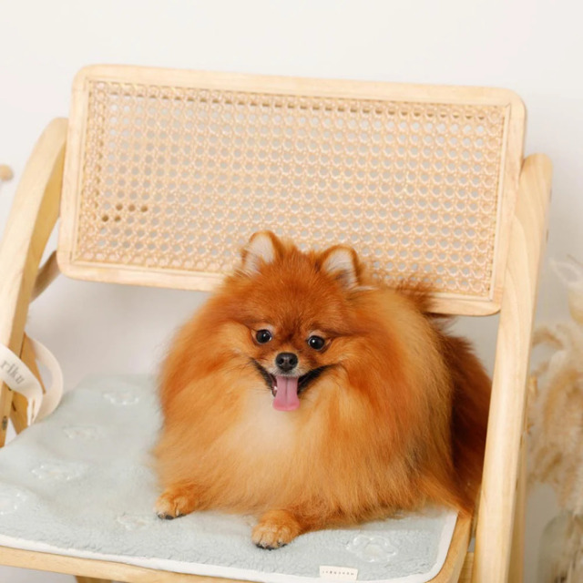 ペット用品　花　カフェマット　ハンドメイド 楽天市場】【オリジナル】ベルト付 カフェマット ペット用 花柄 散歩