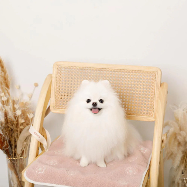 moncheri フラワー刺繍ボアカフェマット Pets-first ONLINESTORE