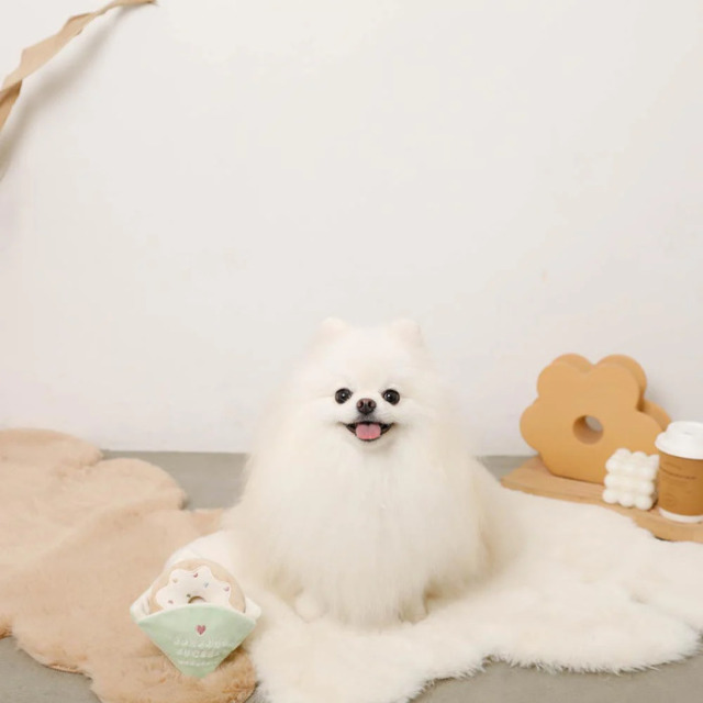 moncheri リングドーナツのおもちゃ Pets-first ONLINESTORE