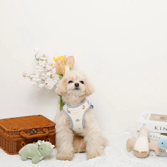 moncheri 恐竜さん柄刺繍ハーネス+リードSET Pets-first ONLINESTORE