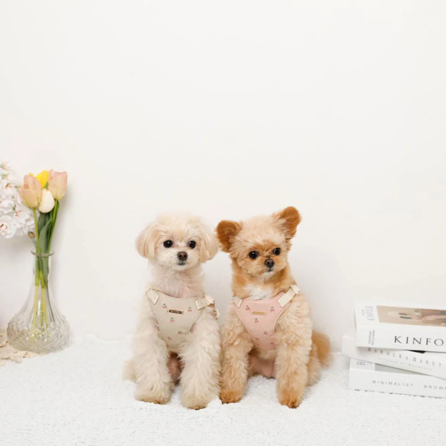 moncheri さくらんぼ刺繍ハーネス+リードSET Pets-first ONLINESTORE
