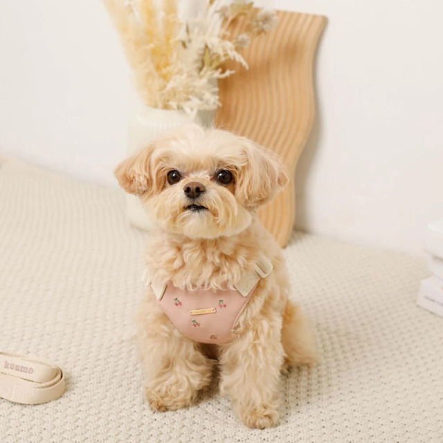 moncheri さくらんぼ刺繍ハーネス+リードSET Pets-first ONLINESTORE