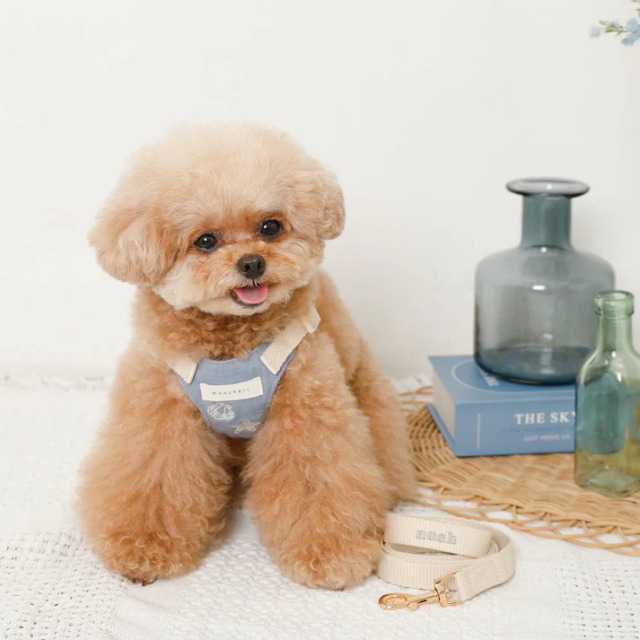 GELATO PIQUE キャリー　moncheri ハーネス S 冷感 GELATO PIQUE キャリー moncheri ハーネス S 冷感 犬用品