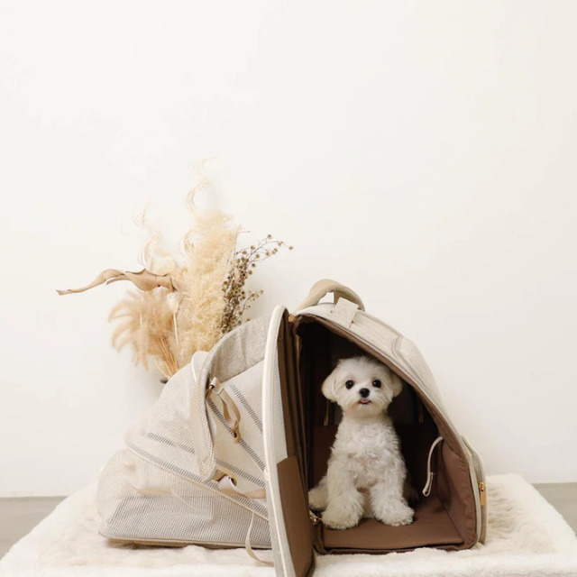 moncheri 拡張パイピングリュックキャリー Pets-first ONLINESTORE