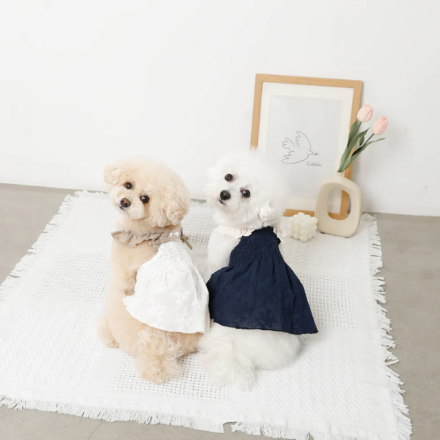 【moncheri】冷感リボンギャザー刺繍ワンピ