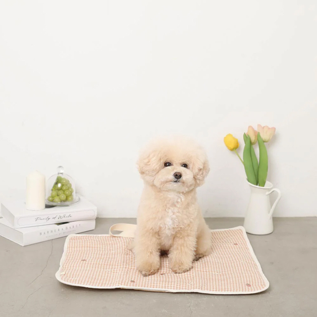 moncheri】ギンガムチェックいちご柄ふんわりカフェマット Pets-first