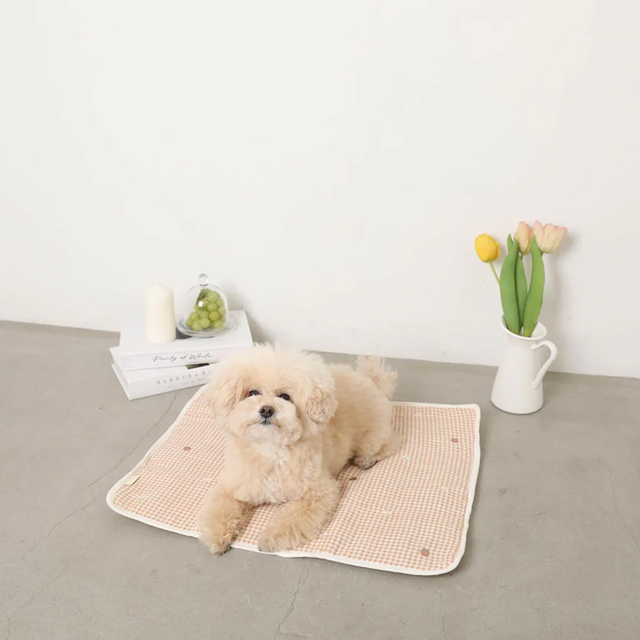 moncheri】ギンガムチェックいちご柄ふんわりカフェマット Pets-first