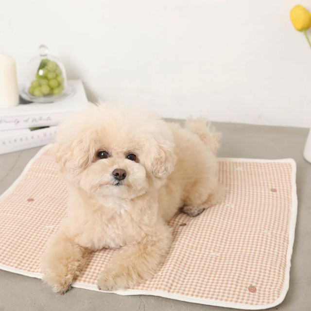 カフェマット　イチゴ　見本 moncheri】ギンガムチェックいちご柄ふんわりカフェマット Pets-first