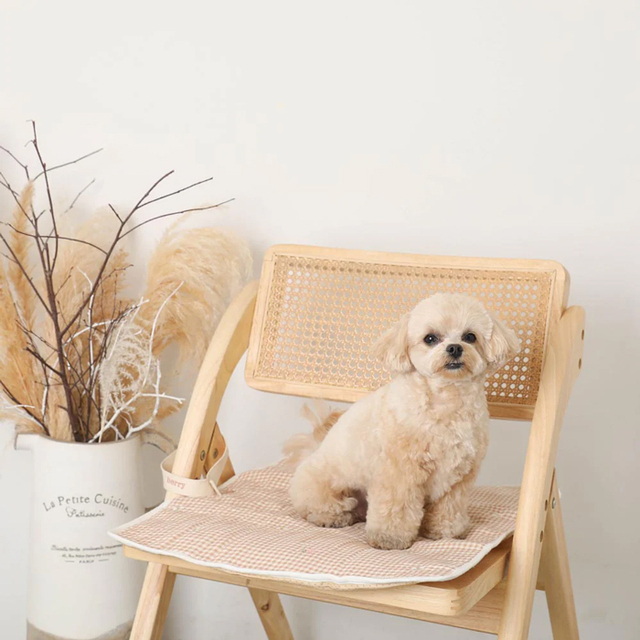 ご確認用　バスケットいちご　　カフェマット moncheri】ギンガムチェックいちご柄ふんわりカフェマット Pets-first