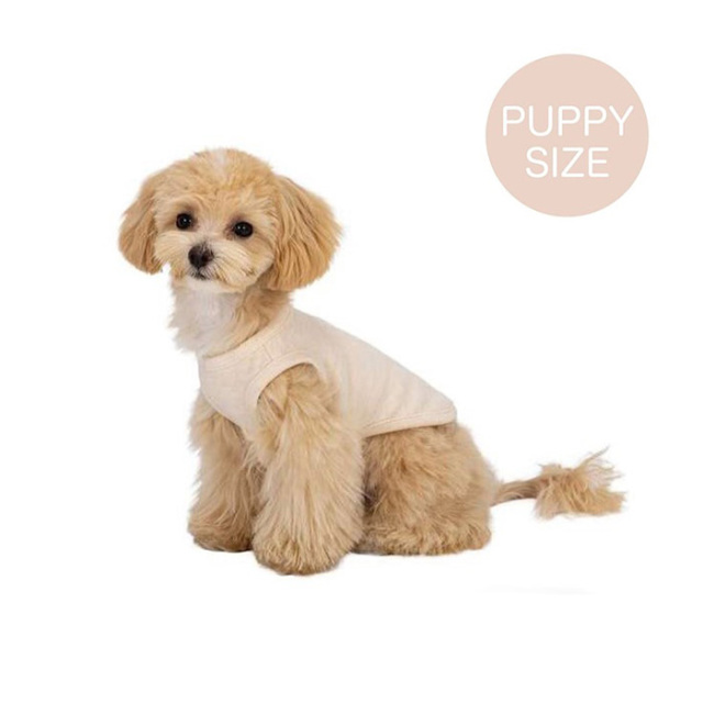 マンダリンブラザーズ　PUPPY'S FIRST T-SHIRT　パピーズファーストTシャツ　☆アウトレット